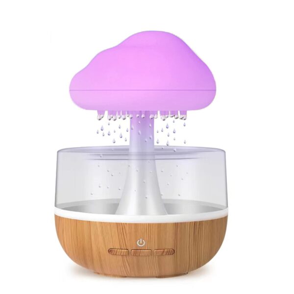 RAIN CLOUD HUMIDIFIER