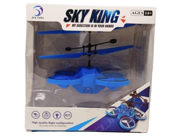 SKY KING FLYING