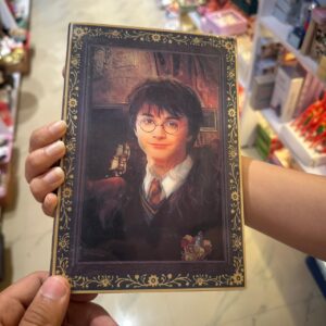 3D Harry Potter Diary