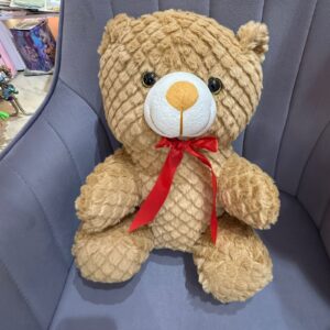 Teddy Bear Plush