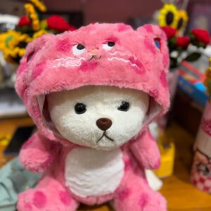 Lena Bear Cat Hoodie Plush