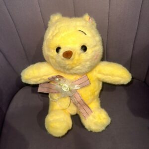Teddy plush
