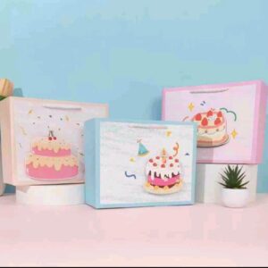 Paper Gift bag